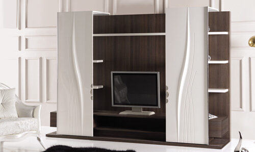 Σύνθεση silvia